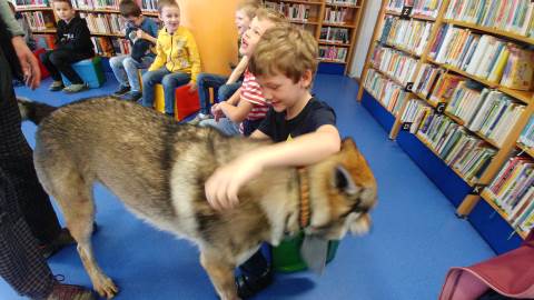 Vlci v knihovně
