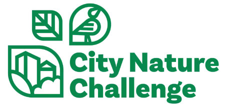 City nature challenge 6.B