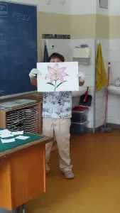 Aukce v 6.C