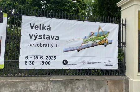 6.B na Velké výstavě bezobratlých