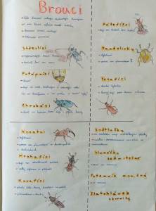 Kreslený hmyz v 6.C