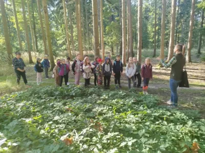 3.C v Kunratickém lese