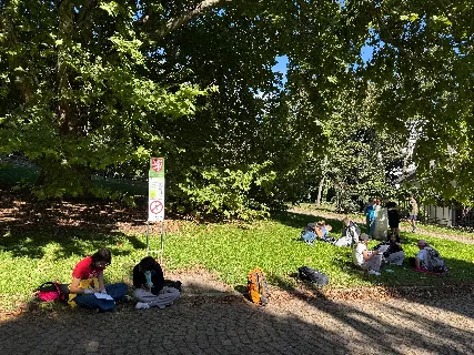 6.A Památné stromy Prahy 1