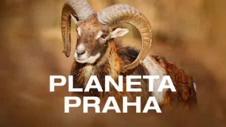 Bádání na Planetě Praha 6.B