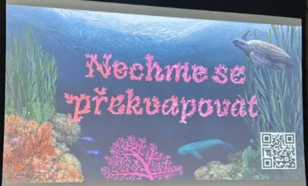 Nechme se překvapovat 6.B