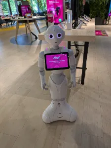 6.A Magenta Experience Center